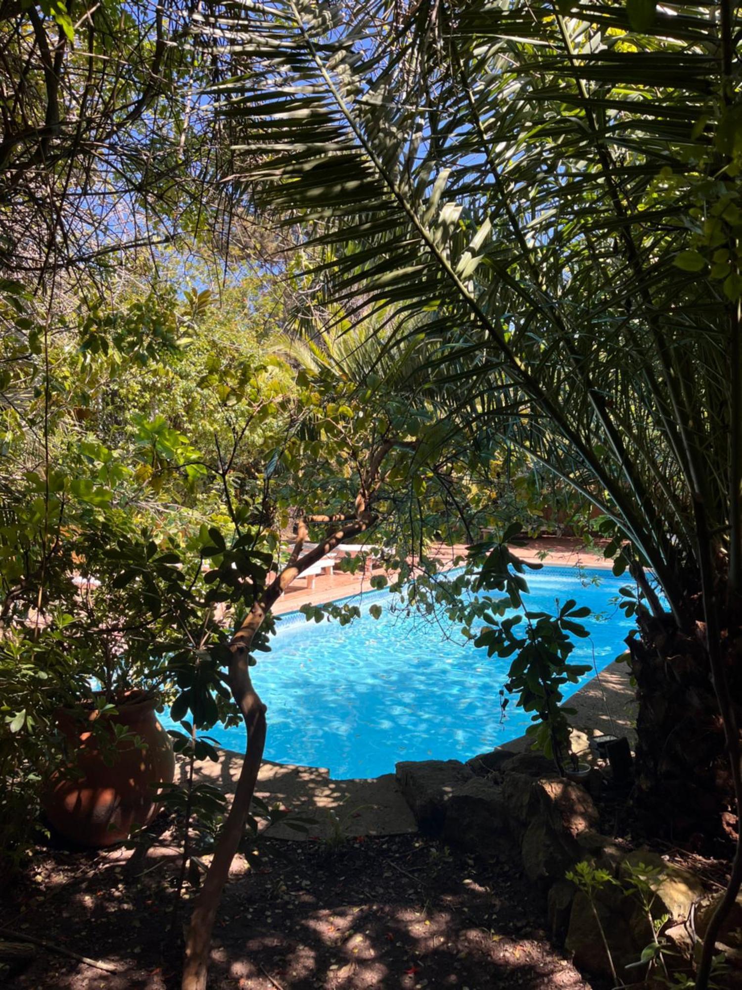 Hotel La Bluette Manantiales